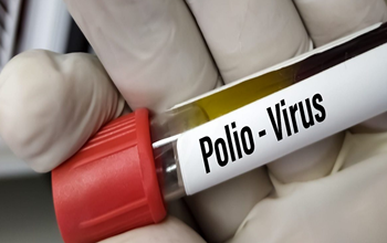 new virus polio