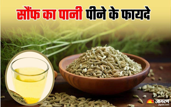 सौंफ का पानी: एक नेचुरल हेल्थ टॉनिक, जानें शरीर के किस अंग के लिए सबसे ज्यादा फायदेमंद है