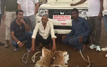 रायपुर में वन्यजीव तस्करी का खुलासा: हिरण की खाल और सींग के साथ 3 तस्कर गिरफ्तार...