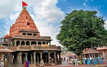 Mahakal Bird Mystery: उज्जैन पहुंचते हैं हजारों किलोमीटर दूर से पक्षी, करते हैं बाबा महाकाल की परिक्रमा