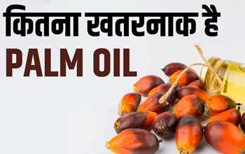 सेहत के लिए छिपा जहर है पाम ऑयल! जानिए क्यों इसका सेवन बन सकता है खतरनाक....