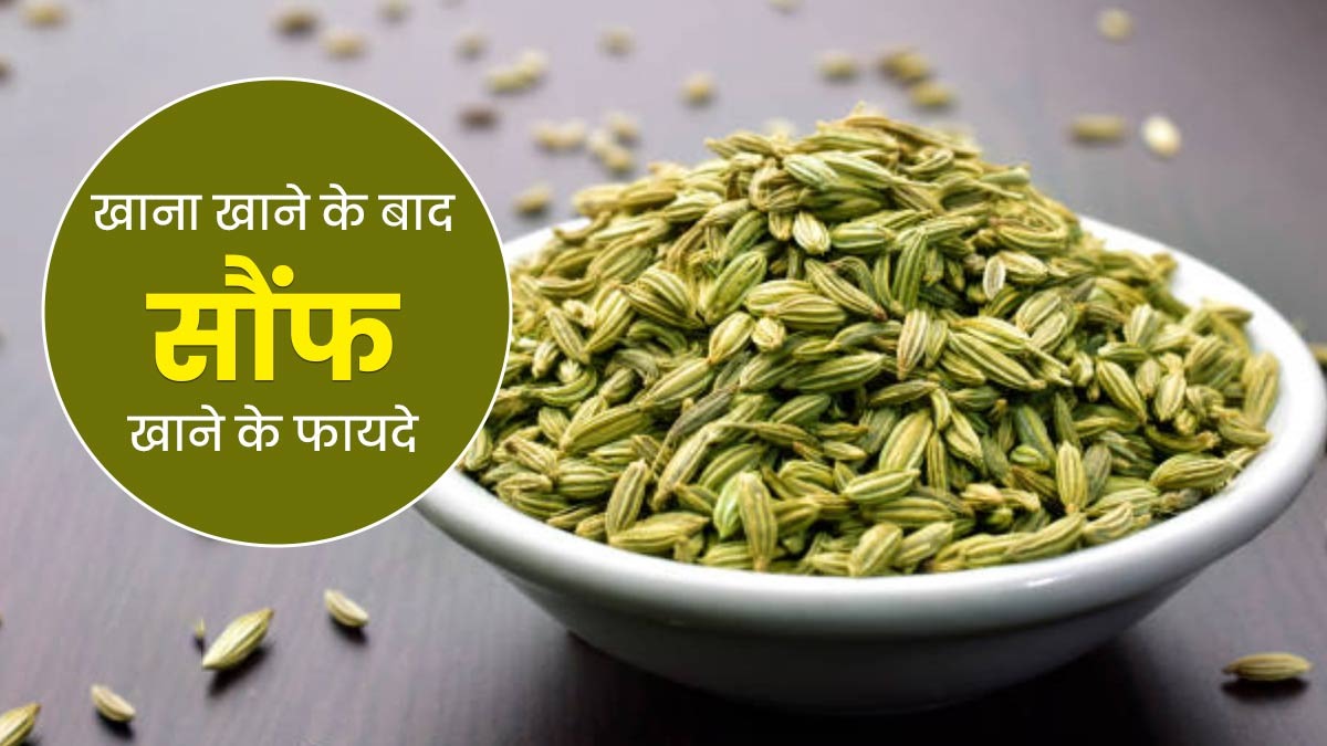 Benefits of eating fennel : भोजन के बाद सौंफ खाना क्यों है फायदेमंद? जानिए क्या कहते हैं विशेषज्ञ...
