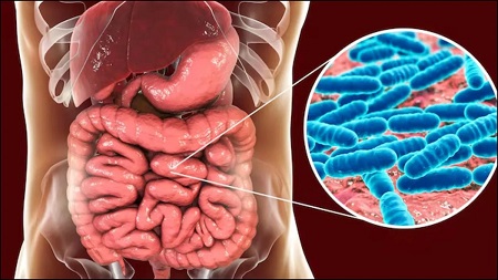 आंतों की सफाई के लिए चमत्कारी ड्रिंक: सिर्फ 7 दिन में मिलेगा असर...