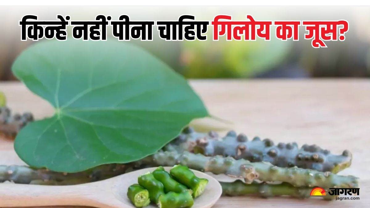 किन लोगों को नहीं पीना चाहिए गिलोय का जूस? जानिए कब बन सकता है सेहत के लिए खतरनाक....