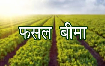 किसानों के लिए खुशखबरी! खरीफ फसलों के बीमा का सुनहरा मौका, 31 जुलाई तक कराएं आवेदन...