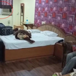 कोरबा में महिला डॉक्टर से दुष्कर्म की कोशिश, एसपी ऑफिस के सामने होटल में घुसा आरोपी…