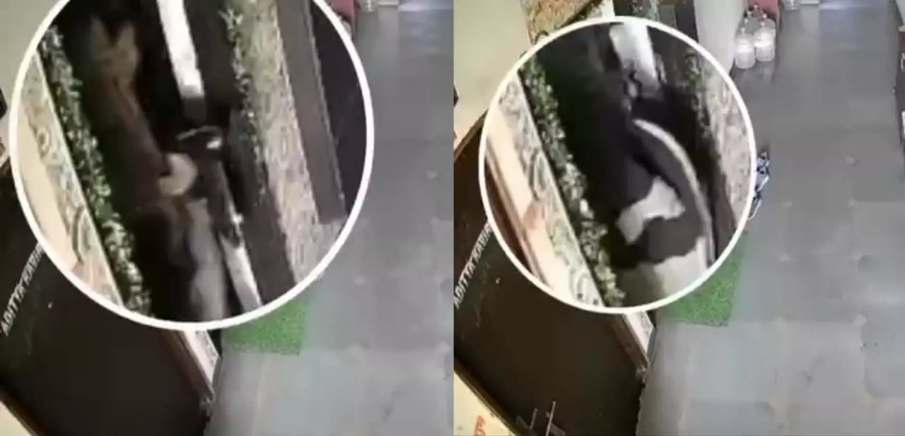 बुरखे में छुपी रहस्यमयी हरकतें: रायपुर के शंकर नगर का वायरल वीडियो सुरक्षा व्यवस्था पर बड़ा सवाल...
