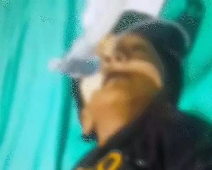 CG BREAKING: कोरबा में दिल दहला देने वाली घटना – गले में चना फंसने से दो साल के मासूम की मौत, परिजन अस्पताल पर लगा रहे लापरवाही का आरोप