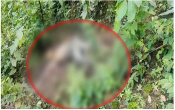 ब्रेकिंग न्यूज: जंगल में मिली पूर्व विधायक के भाई की सड़ी-गली लाश, हत्या की आशंका से सनसनी...