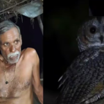 आपके घर में तो नहीं दिख रहा ये पक्षी? हो सकता तंत्र-मत्र का खेल! बच्चों से है सीधा कनेक्शन….
