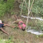 टमाटर चोरी करने घुसे खेत में, करंट की चपेट में आने से पिता-पुत्र की हुई दर्दनाक मौत…
