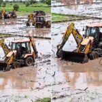फल-सब्जियां नहीं, खेत में होती दिखी सांप की खेती! JCB मशीन ने काटी ‘फसल’, आखिर कहां का है ये वीडियो?