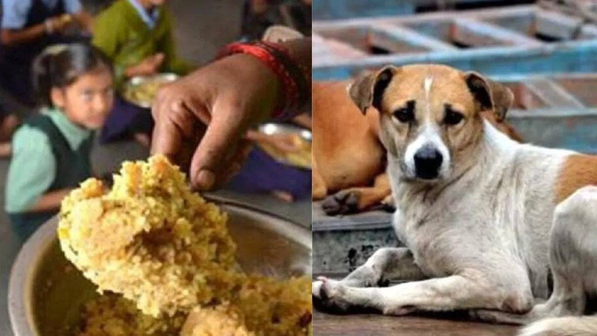 Mid-Day Meal: बच्चों को खिलाया कुत्ते का जुठा खाना, 78 बच्चों को लगाने पड़े एंटी-रेबीज इंजेक्शन...