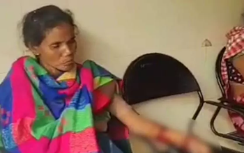 महासमुंद में भालुओं का आतंक: तीन ग्रामीणों पर हमला, हालत गंभीर...