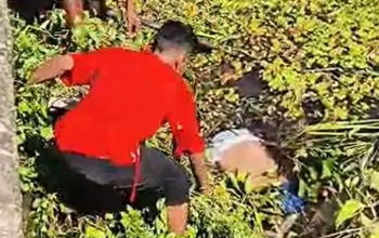 सफाई अभियान के दौरान मिला शव, कर्मचारियों में दहशत