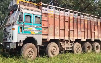 वन विभाग की बड़ी कार्रवाई: रायगढ़ में 45 लाख की अवैध लकड़ी जब्त...