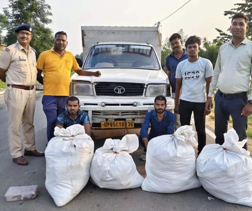 CG BREAKING: अंतरराज्यीय गांजा तस्करी का पर्दाफाश – 1 क्विंटल से ज्यादा गांजा बरामद, दो तस्कर गिरफ्तार