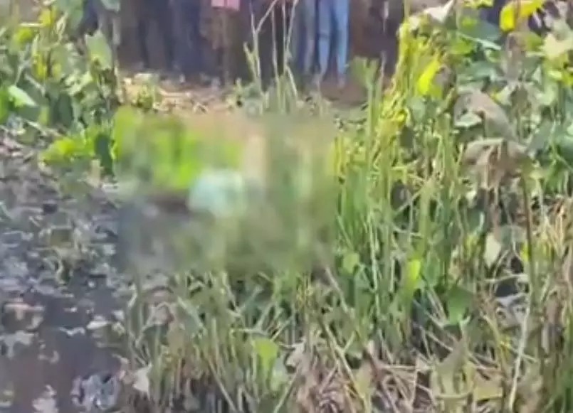 रायपुर में फिर मिली एक और लाश, इलाके में मचा हड़कंप — पुलिस जांच में जुटी...