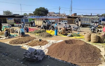 भारत की अनोखी मंडी: जहां ‘कचरा’ भी बिकता है सोने के भाव...