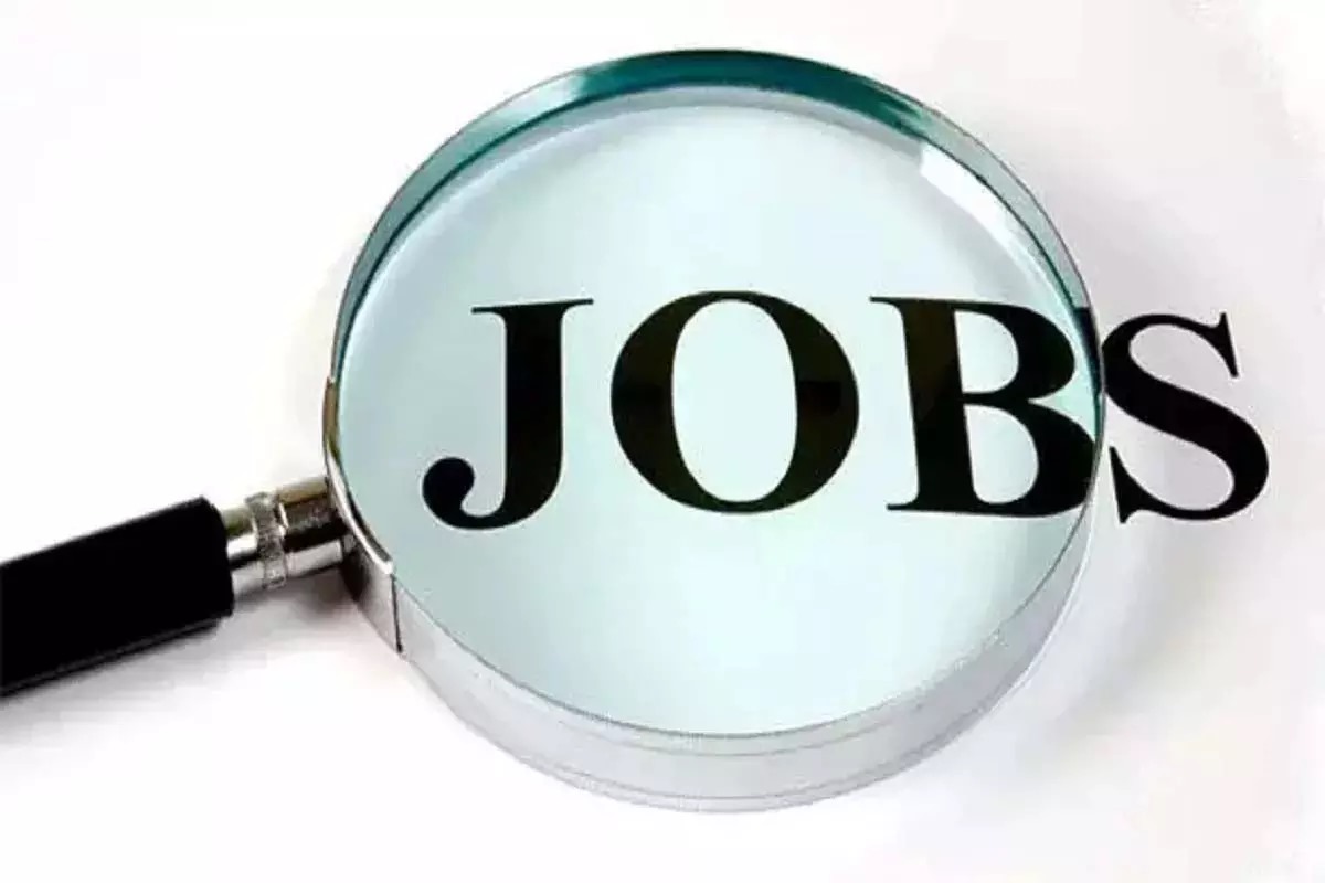 Bank of Baroda Jobs: ग्रेजुएट्स के लिए सुनहरा मौका, 2700 वैकेंसी, कितनी मिलेगी सैलरी?