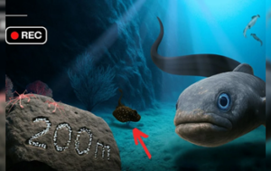 गहरे समंदर में फेंका कैमरा, कैद हुआ पाताल लोक का ऐसा नजारा, अभी देखें!