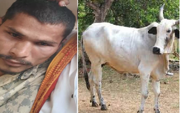 CG Breaking: गाय के साथ अनाचार करते युवक को गौ-रक्षकों ने रंगे हाथ पकड़ा, तारबाहर पुलिस ने किया गिरफ्तार
