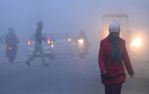 पशुधन के शीतलहर प्रबंधन हेतु दिशा-निर्देश जारी…