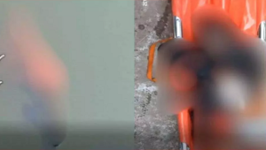 महानदी में महिला का शव मिलने से सनसनी, शिवरीनारायण पुल के नीचे मिली लाश, पुलिस ने परिजनों से की पूछताछ…