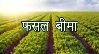 उद्यानिकी फसलों के बीमा हेतु आवेदन 31 दिसम्बर तक...