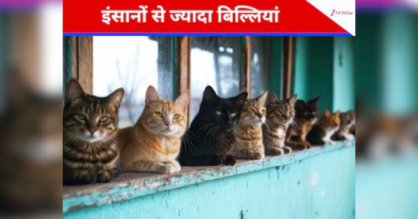 दुनिया का अनोखा गांव, जहां इंसानों से ज्यादा रहती हैं बिल्लियां, 30 सालों से नहीं जन्मा एक भी बच्चा!