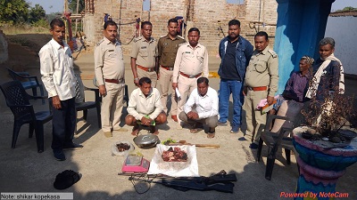 गरियाबंद क्षेत्र में वन विभाग की बड़ी कार्रवाई : कच्चा मांस एवं हथियार जब्त...