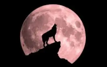 3 जनवरी को आसमान में दिखेगा अद्भुत नजारा, कुर्सी-टेबल लेकर बैठे छत पर, फिर कभी नहीं दिखेगा ऐसा पल!