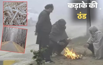 छत्तीसगढ़ में कड़ाके की ठंड, कई जिलों में शीतलहर का अलर्ट...