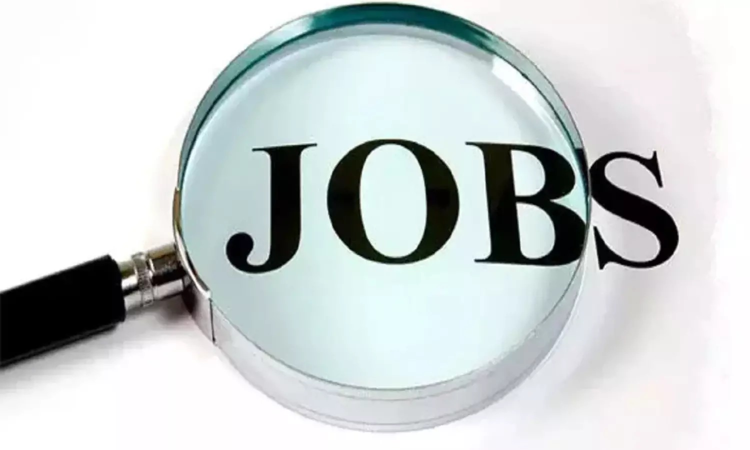 KVS TGT, PRT Vacancy: केवीएस में टीजीटी-पीआरटी शिक्षकों की 987 वैकेंसी, यूपी-बिहार समेत कई राज्यों में होगी भर्ती...