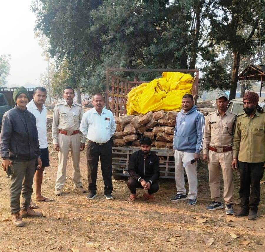 अवैध वनोपज परिवहन पर वन विभाग की कार्रवाई...