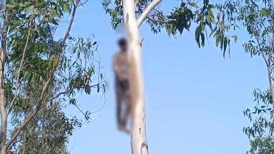 CG- प्रेमी जोड़े की आत्महत्या: शादी में देरी से परेशान होकर उठाया खौफनाक कदम, जाने पूरा मामला...