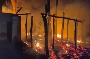 टाइगर पॉइंट में भीषण आग: दर्जनों दुकानें जलकर खाक, पर्यटक स्थल पर मचा हड़कंप…