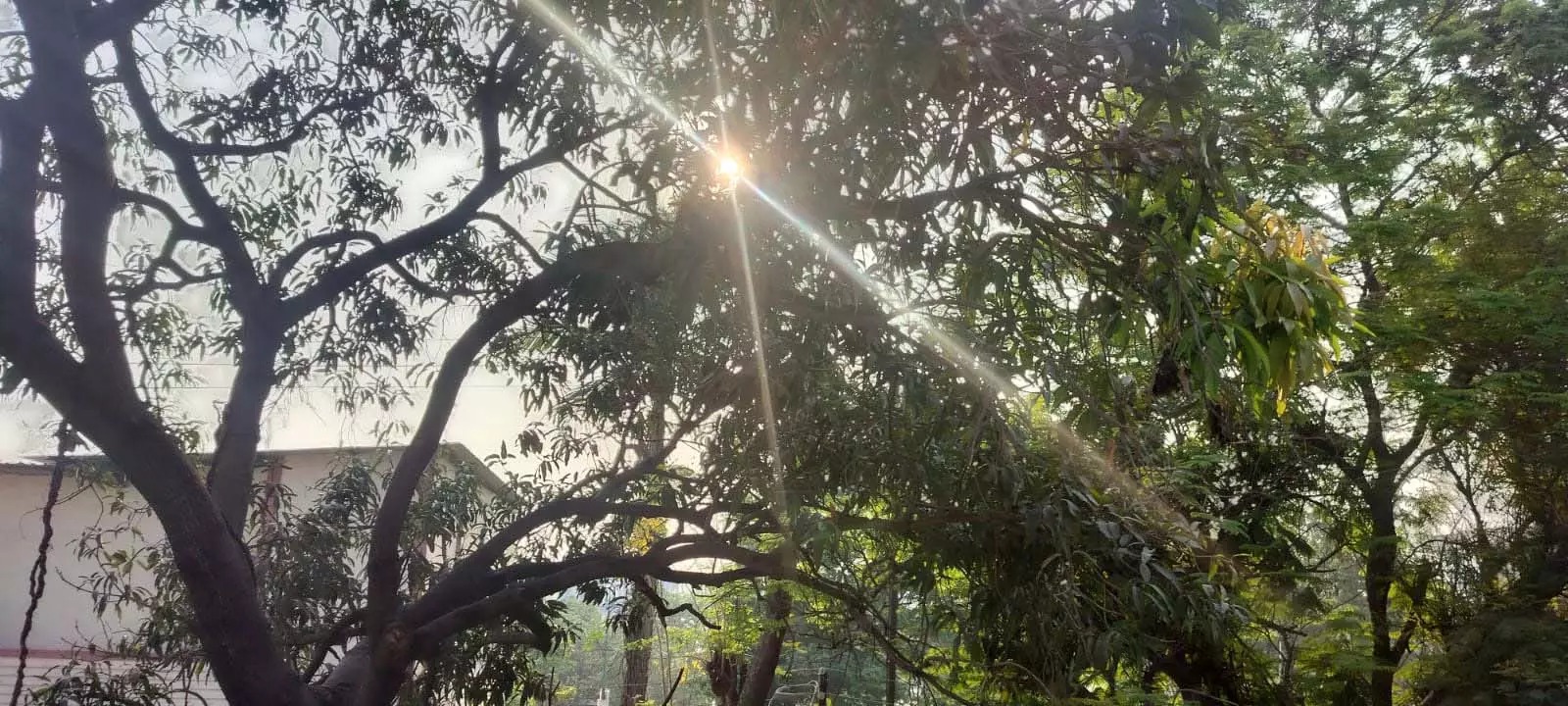 उफ्फ ये गर्मी! छत्तीसगढ़ में तापमान चढ़ा, अगले 6 दिनों में 4°C तक बढ़ने का अनुमान...