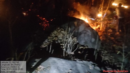 वन विभाग की तत्परता से टली बड़ी वन क्षति