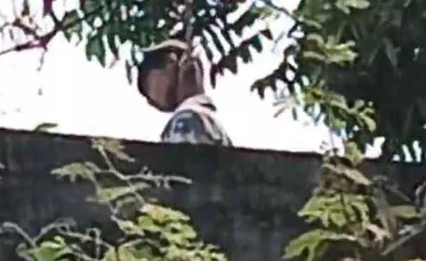 छात्र की आत्महत्या: नशे की लत ने ली जान, आम के पेड़ पर लगाई फांसी...