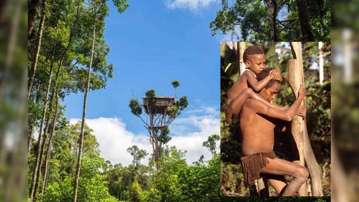 पेड़ों पर रहते हैं ये आदिवासी, होते हैं नरभक्षी और अंधविश्वासी, महिलाएं जीती हैं नर्क जैसी जिंदगी!