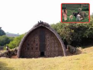 एक औरत से शादी कर लेते थे सारे भाई, भैंस की करते हैं पूजा, बेहद अजीब है भारत की इस जनजाति की परंपरा!