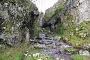 खूबसूरत वादियों में छिपा है ‘यमदूत’ कुत्ता, कुचलकर मार देता है इंसानों को, जाने के नाम से भी कांपते हैं लोग!