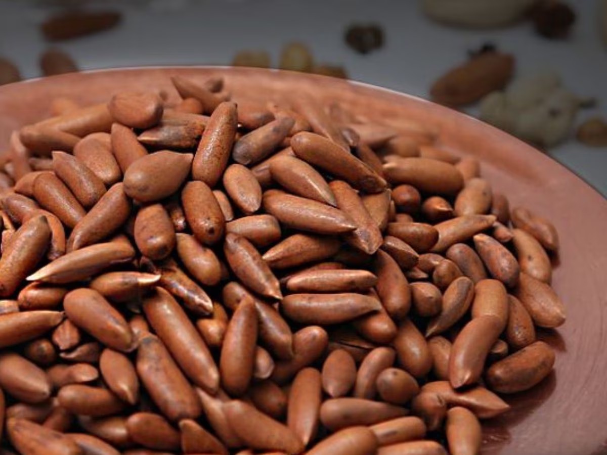 काजू-पिस्ता नहीं, ये है भारत का सबसे महंगा ड्राई फ्रूट, 10 हजार किलो तक बिकता है चिलगोजा