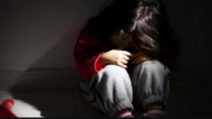 CG-इंसानियत शर्मसार: 2 साल की बच्ची से छेड़छाड़, आरोपी महिला पर केस दर्ज…