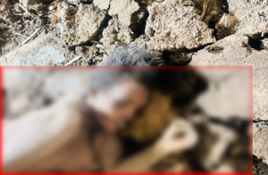 CG- राजधानी में खौफनाक वारदात: खंडहर में मिली महिला की नग्न लाश, रेप-मर्डर की आशंका…