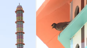 पक्षियों के लिए बनाया 6 मंजिला घर, रहने के साथ-साथ खाने और नहाने का भी इंतजाम…