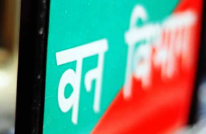 CG Forest Workers Protest: वेतन के लिए तरसे वनकर्मी, भुगतान में देरी से फूटा गुस्सा, आंदोलन की चेतावनी…