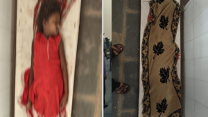 CG- जहरीले सांप के डसने से नानी-नातिन की दर्दनाक मौत, रात में सोते समय हुआ हादसा…