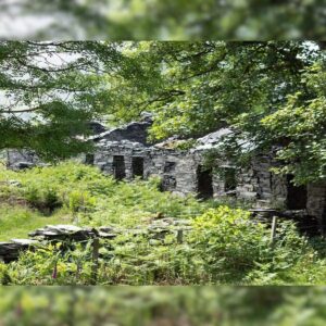 100 सालों तक छिपा था पूरा गांव, घरों की दीवार फाड़ उगे थे पेड़, कभी रहते थे 2 हजार लोग…